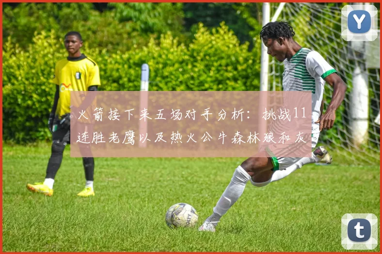 火箭接下来五场对手分析：挑战11连胜老鹰以及热火公牛森林狼和灰熊