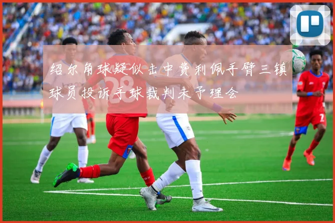 绍尔角球疑似击中费利佩手臂三镇球员投诉手球裁判未予理会