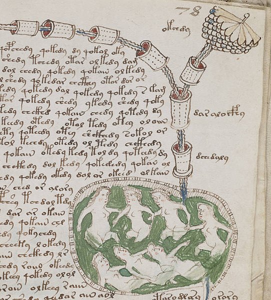 Voynich Manuscript Balneological